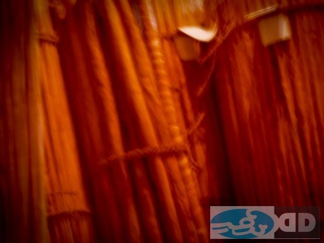 img00017_cin.jpg